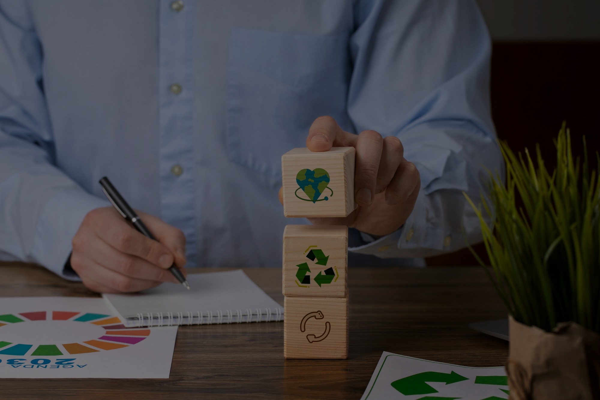 Environmental Audits